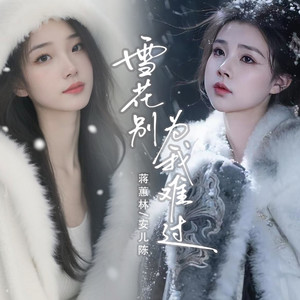 安儿陈 - 雪花别为我难过 (DJ加快版)