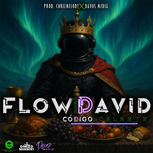 Flow David
