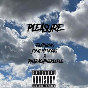 Pleasure (feat. PharaohThePeople) (Explicit)
