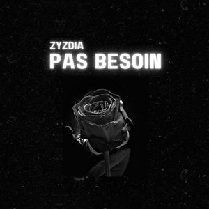 PAS BESOIN