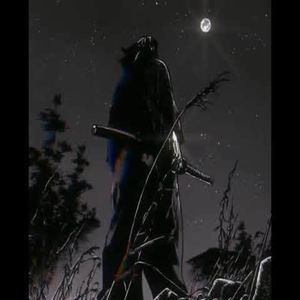 Vengeance of she X The Fallen