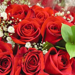 Make a bag (Explicit)