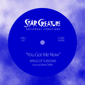 Magic of The Funk (Original Mix)