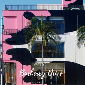Burberry Drive (Explicit)