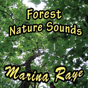 Forest Nature Sounds