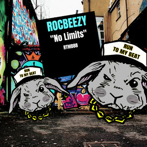 No Limits (Original Mix)