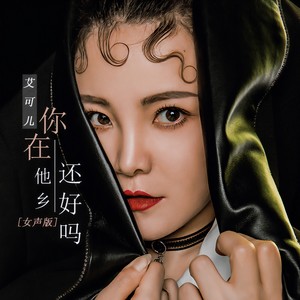 你在他乡还好吗封面