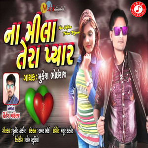 Na Mila Tera Pyar - Single