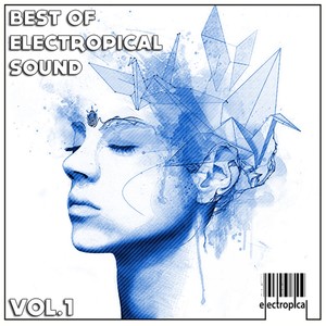 Best Of Electropical Sound