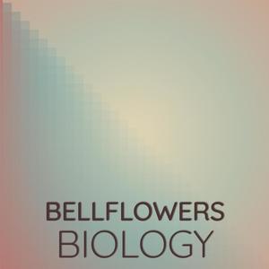 Bellflowers Biology