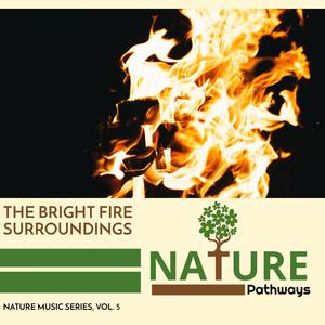 The Bright Fire Surroundings - Nature Music Series, Vol. 5