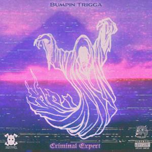 Bumpin Trigga - QUICK TO CLICK SPLIT YO WIG (Explicit)