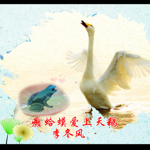癞蛤蟆爱上天鹅