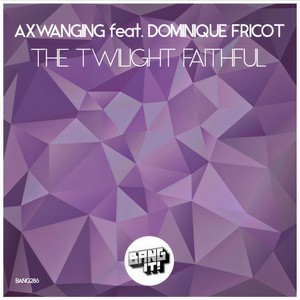 The Twilight Faithful (E-RoSS Remix)