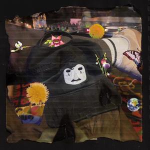 Flowerz In My Brain (Inst.)