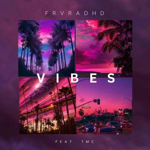 Vibes (feat. TMC) (Explicit)