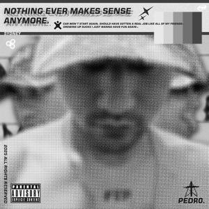 NOTHING EVER MAKES SENSE ANYMORE (Explicit)