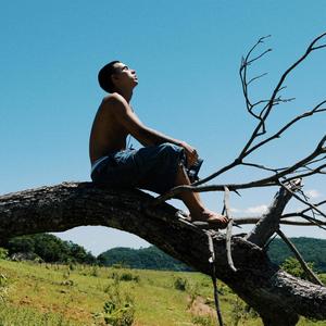 Plano Melhor (Explicit)