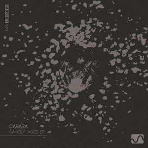 The Camouflaged (Darkflower Edit)