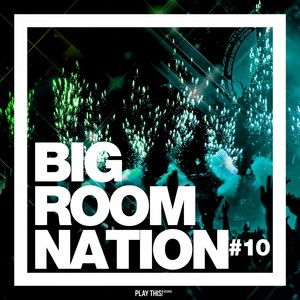 Big Room Nation, Vol. 10