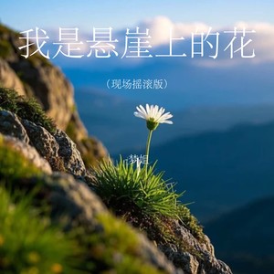 我是悬崖上的花-梦姐