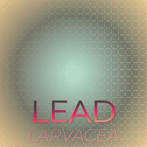 Lead Larvacea