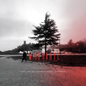 De Corazon Y Malas Decisiones (feat. DJ Zerak|Explicit)