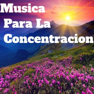 Musica para la Concentracion