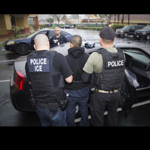 DEAR ICE AGENT (Explicit)