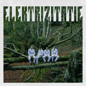 Elektrizitatie (feat. Spi) (Explicit)