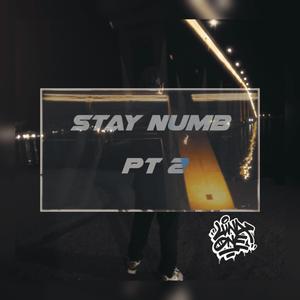 Stay Numb, Pt. 2 (Explicit)
