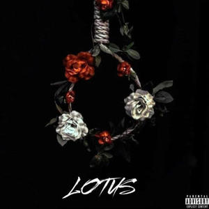 Lotus (Explicit)