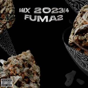 MIX2023/4 - FUMA2 (Explicit)