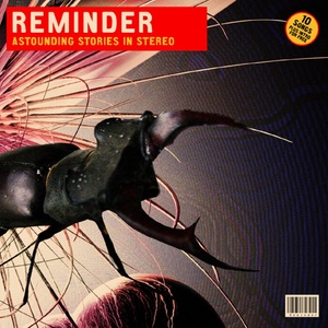 You told me not to go