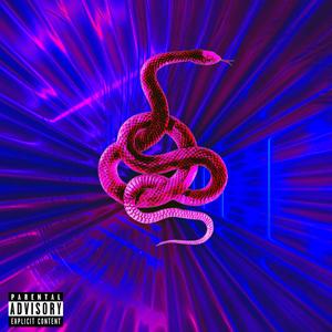 Cobra Vol. 2 (Explicit)