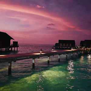 等一会就睡 - 未出现传闻 (宿命女版)