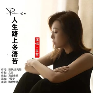 人生路上多凄苦封面