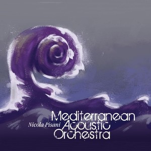 Mediterranean Acoustic Orchestra