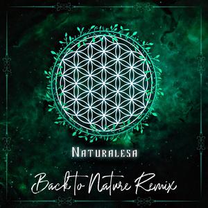 Back to Nature (DJ Barhatt Remix)