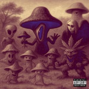 SHROOM HIGH (Explicit)