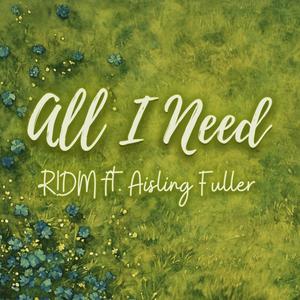 All I Need (feat. Aisling Fuller)