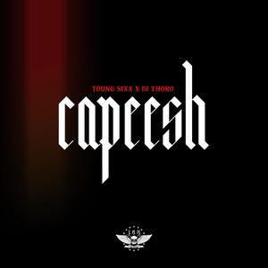 Capeesh (feat. DJ Thoro) [Explicit]