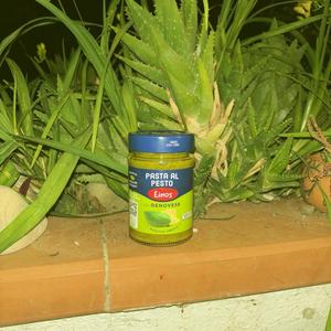 Pasta al pesto (Explicit)