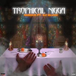 Trophical Nigga (feat. smicks) [Explicit]