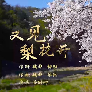 又见梨花开