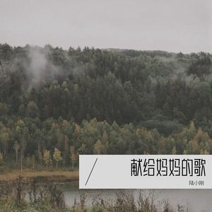 献给妈妈的歌