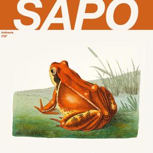 Sapo