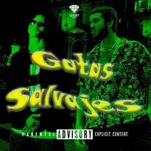 Gatas Salvajes (feat. Jean paul v) [Explicit]