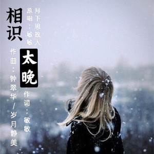 相识太晚