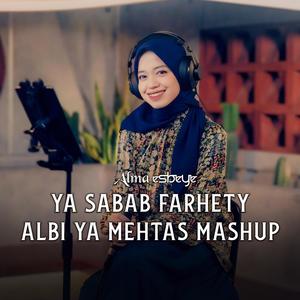 Ya Sabab Farhety - Albi Ya Mehtas Mashup